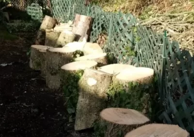 Impeccable Tree Services