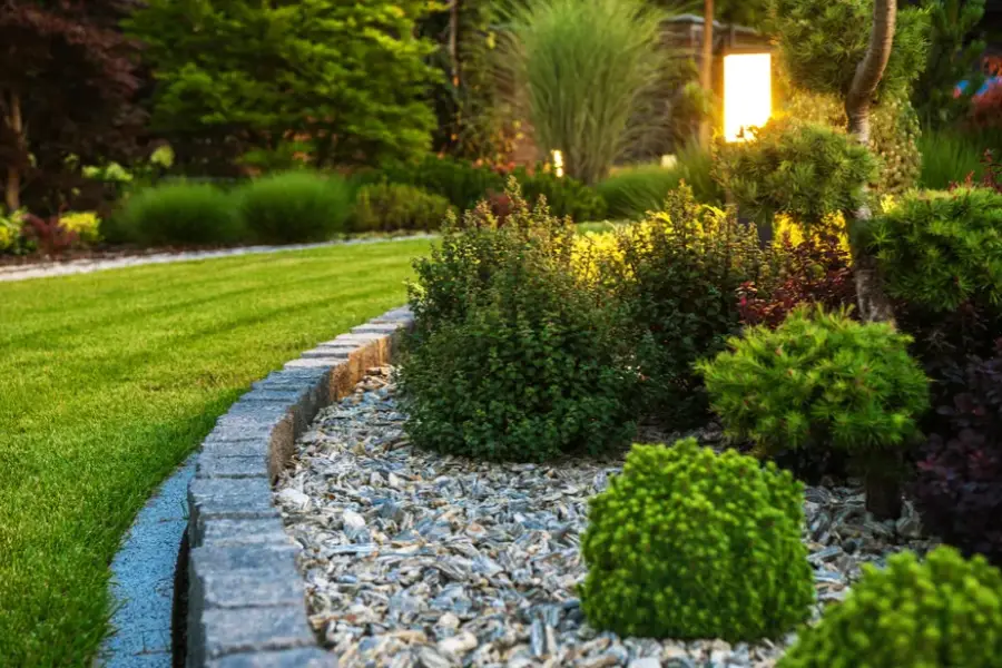 How Professional Landscape Maintenance Saves You Time Seattle, WA
