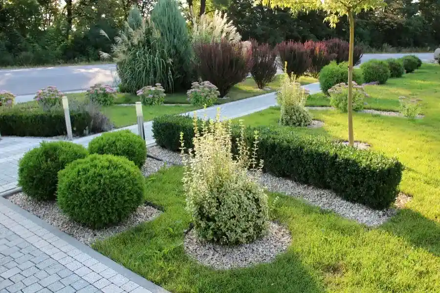 How Professional Landscape Maintenance Saves You Time in Seattle, WA