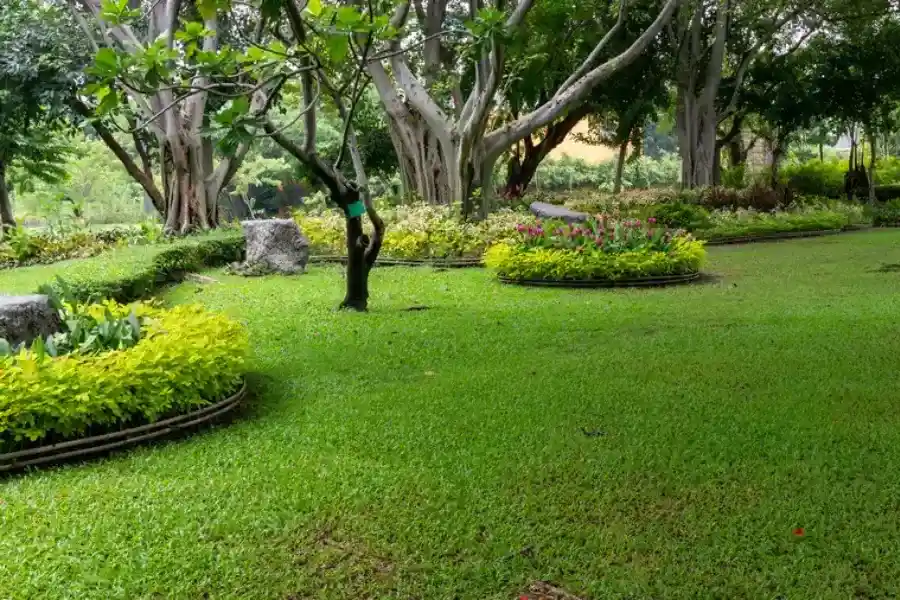 Professional Landscape Maintenance Seattle, WA Professional Landscape Maintenance Seattle, WA